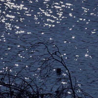 「yooa/刘是我/刘諟」看简介
已打底降噪，改了d