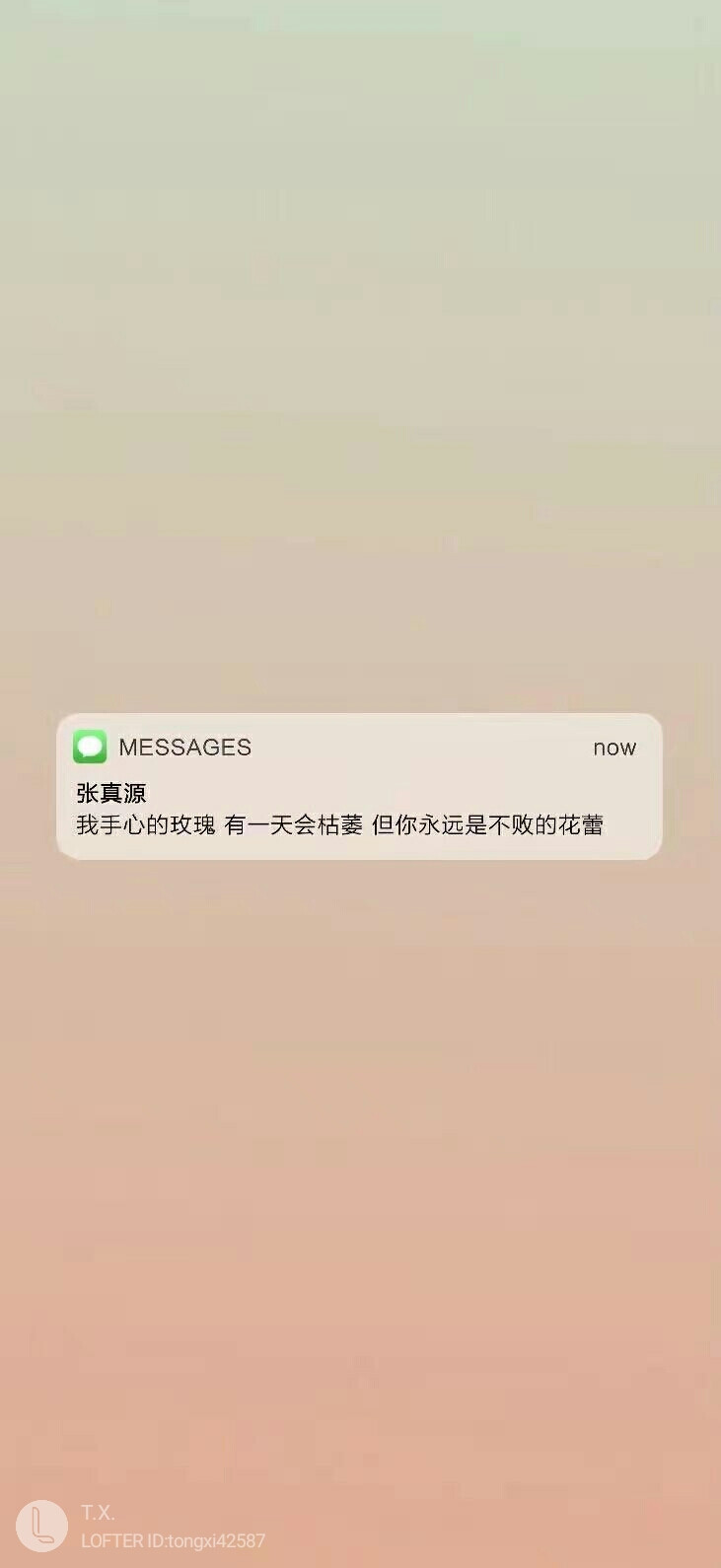 时代少年团壁纸