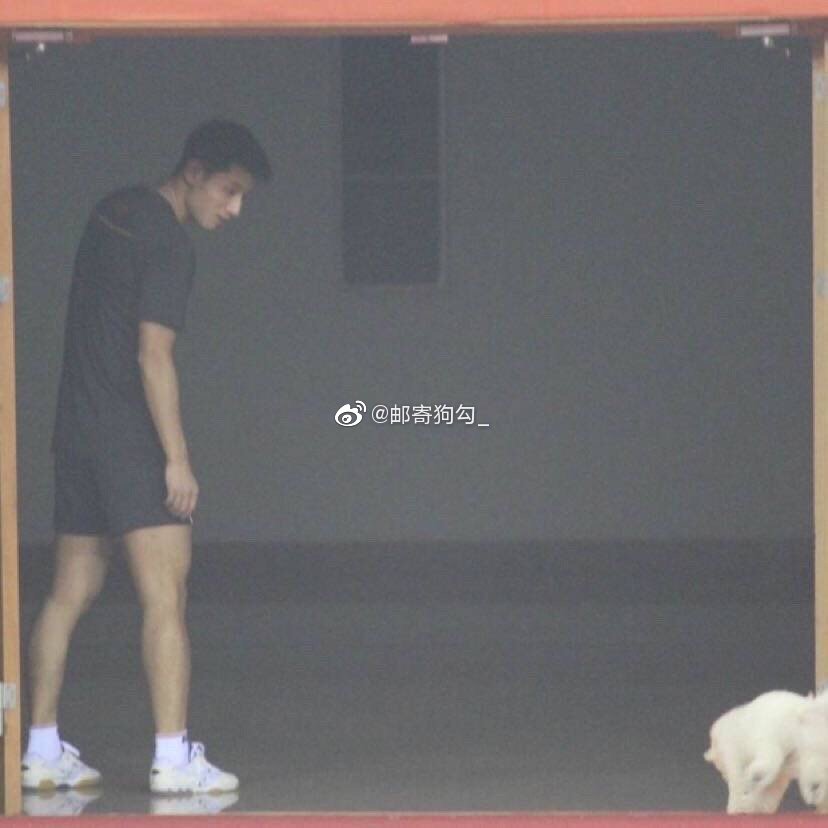 张继科