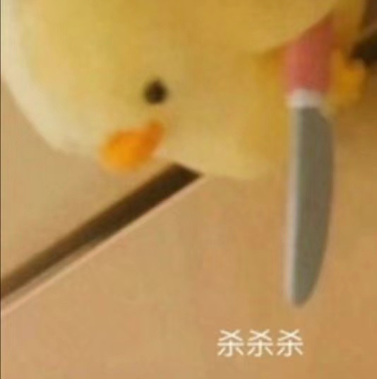 ●鸭子杀表情包