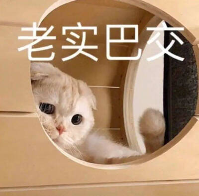 表情包