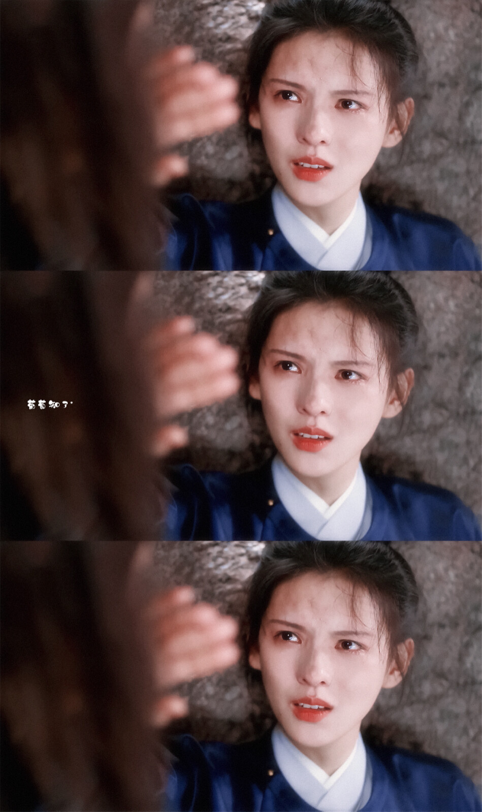 张予曦 | 程若鱼
cr:葡萄知了