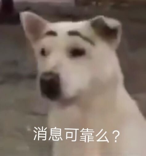 表情包