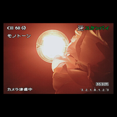 水一个更新 别掉粉了 我一定发图