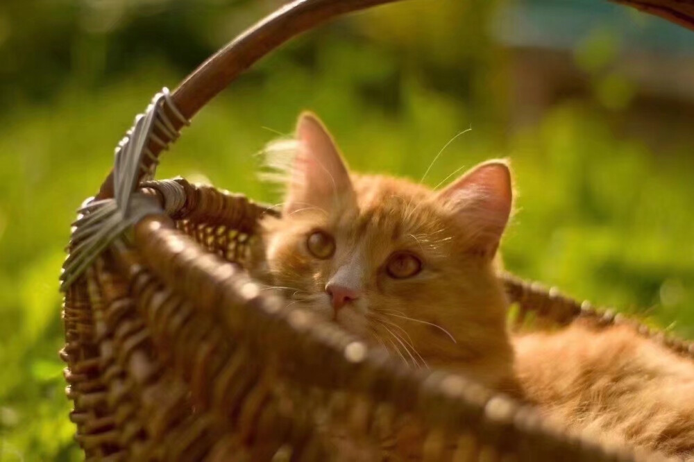 今天请认真生活～
侵权删.