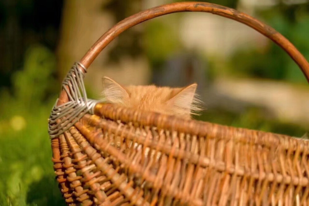 今天请认真生活～
侵权删.