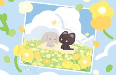 twi：XAS2KO ​​​