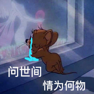 表情包分享