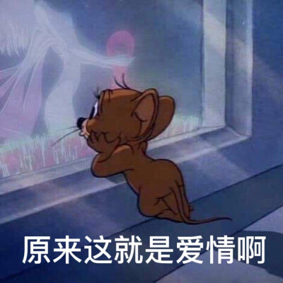 表情包分享