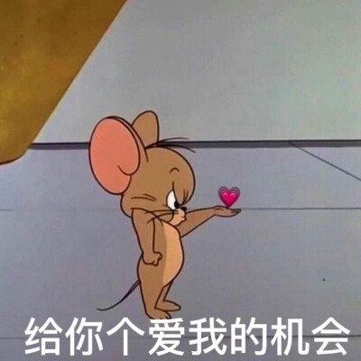 表情包分享