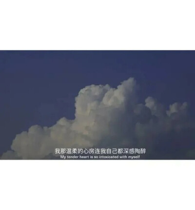 手捧几粒星子