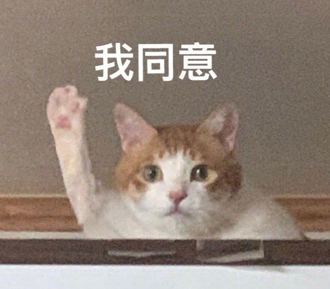 猫猫表情包
