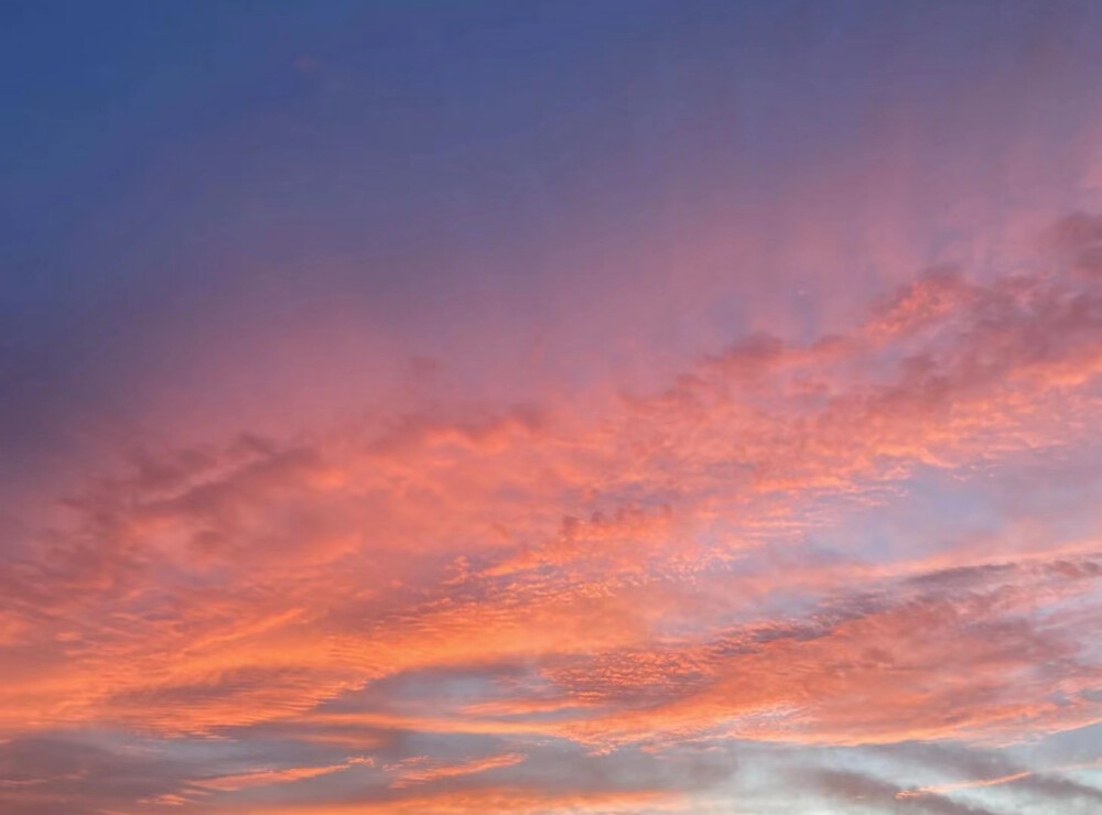 夕阳壁纸