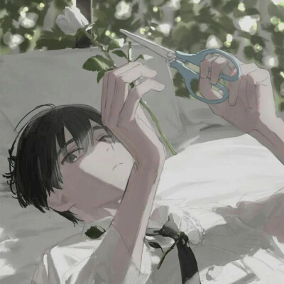 一些头像✩