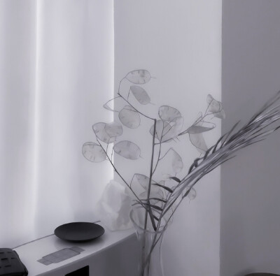  阿尔忒弥斯：（Artemis）