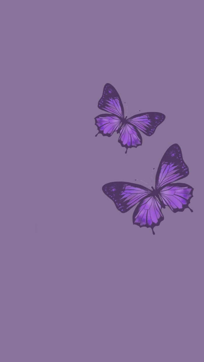 蝴蝶背景图壁纸- 高清图片，堆糖，美图壁纸兴趣社区