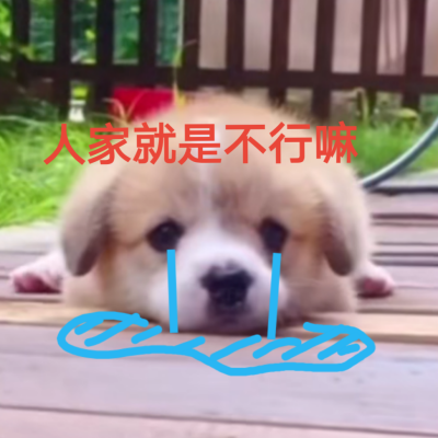 狗子表情包