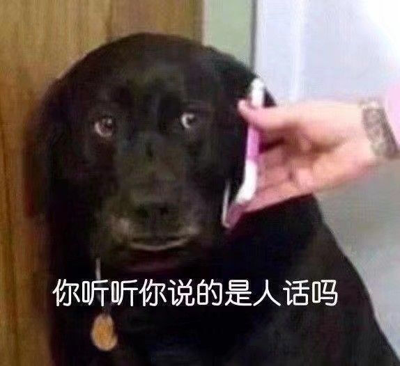 你听听你说的是人话吗