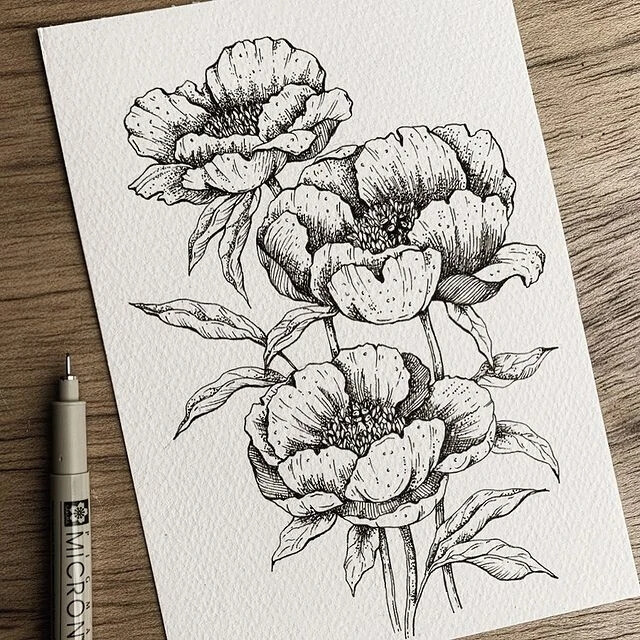 线描花卉