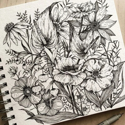 线描花卉