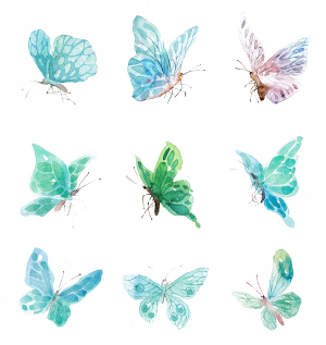 蝴蝶 免抠