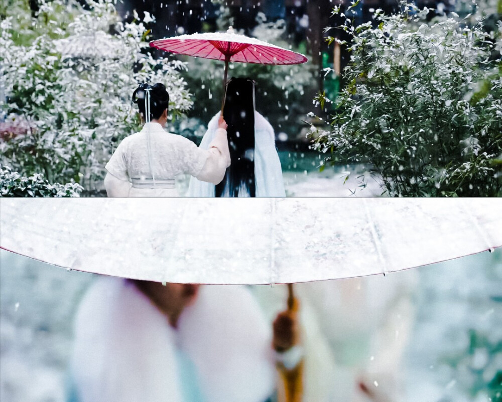 辰此一生 无负天下 唯负十一