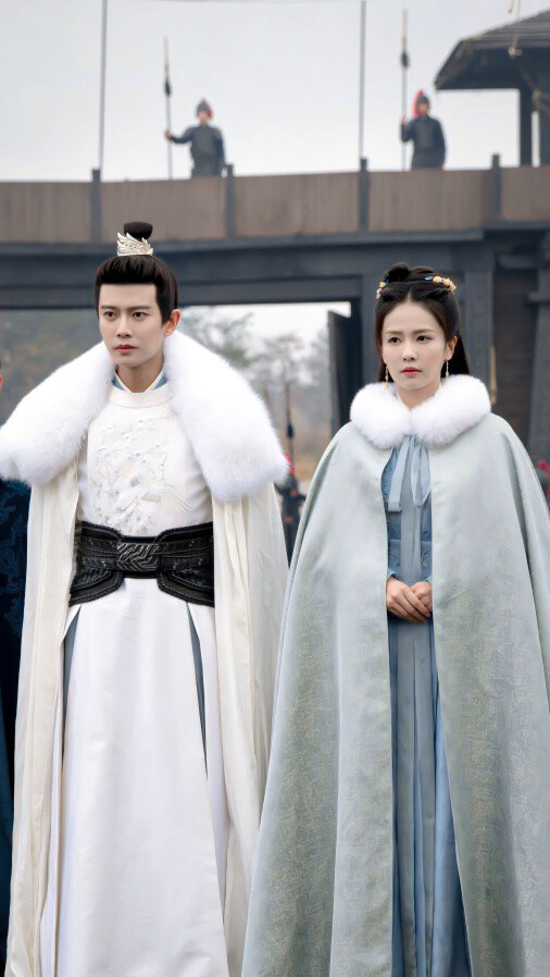 辰此一生 无负天下 唯负十一