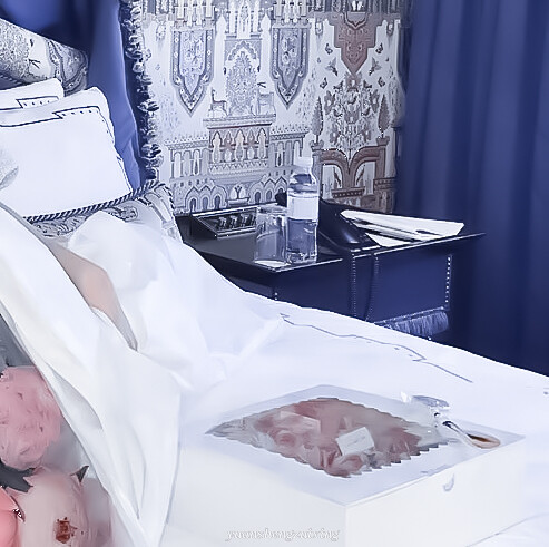 
• 金 智 秀 の 宫 廷 美 人
