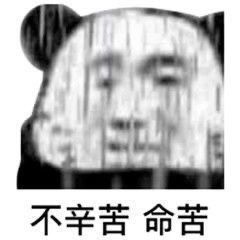 沙雕表情包