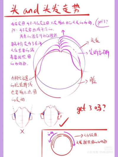 五官