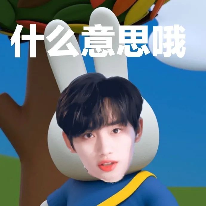 时代少年团米菲兔表情包