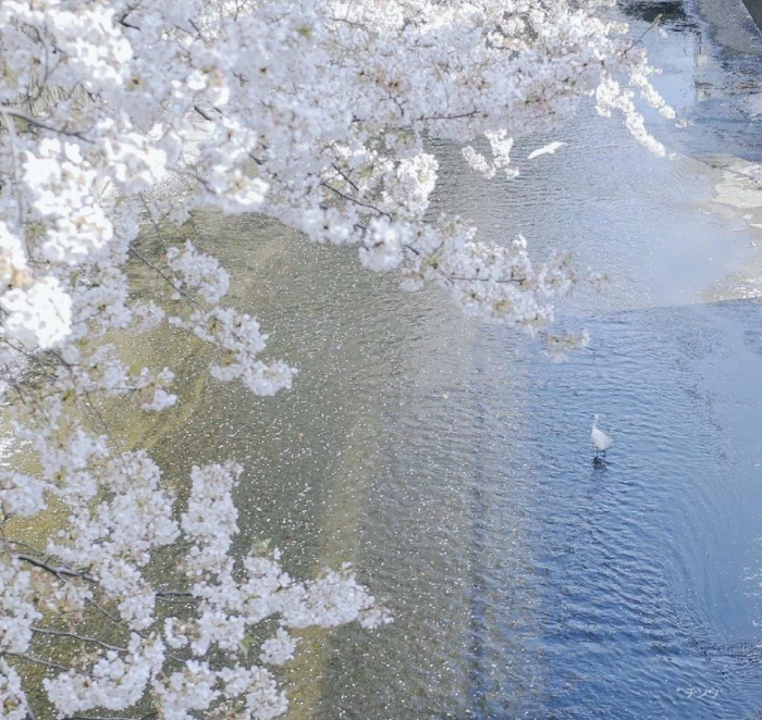 它来了 它来了 朋友圈治愈背景它终于来啦！