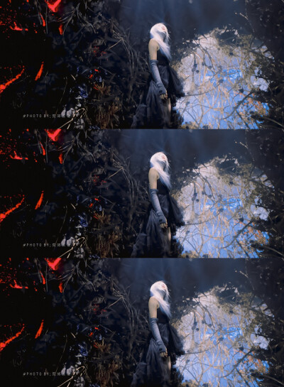 朴彩英