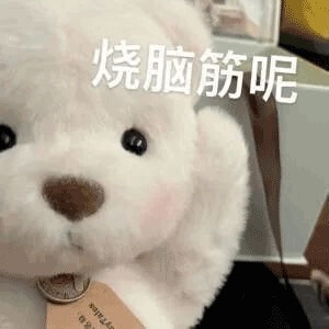 表情包 莉娜熊表情包