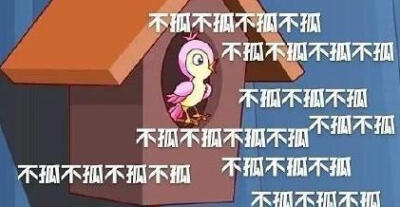 孤寡青蛙➕不孤鸟