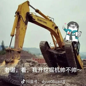 开挖掘机的贺朝夫斯基