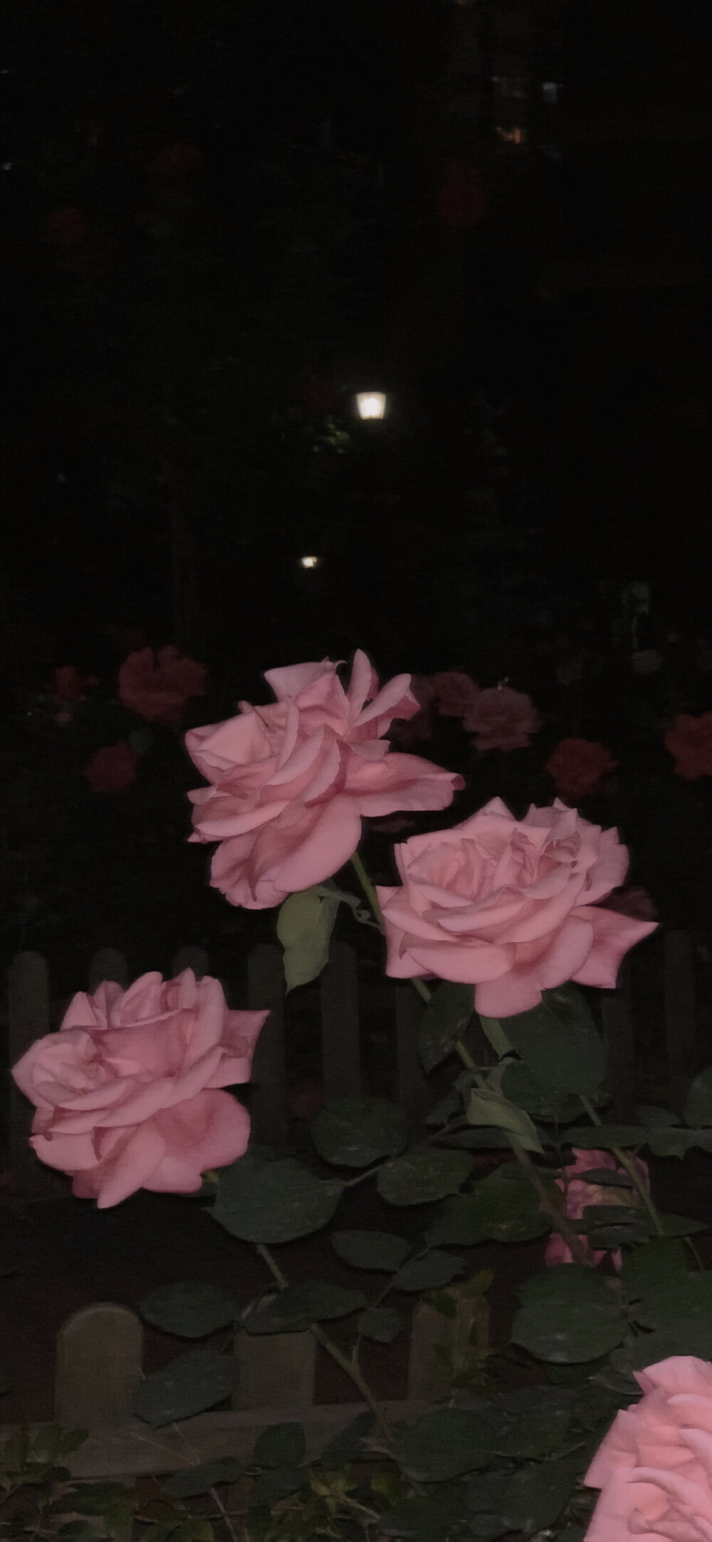 壁纸手机壁纸背景图片聊天背景壁纸锁屏更多