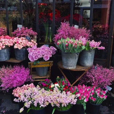 鲜花背景