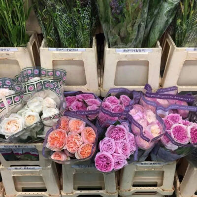 鲜花背景