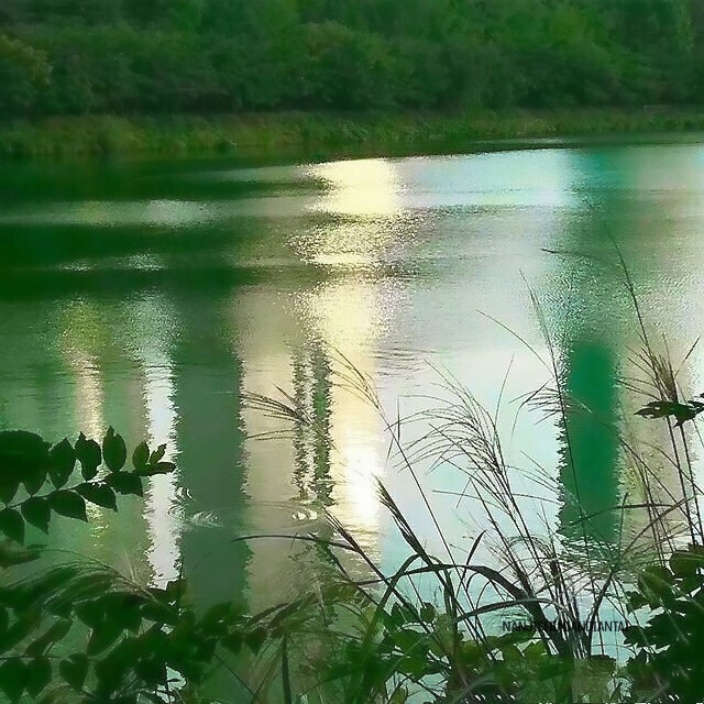 ♡：“花好香，你也是.”