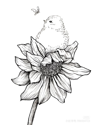 黑白画