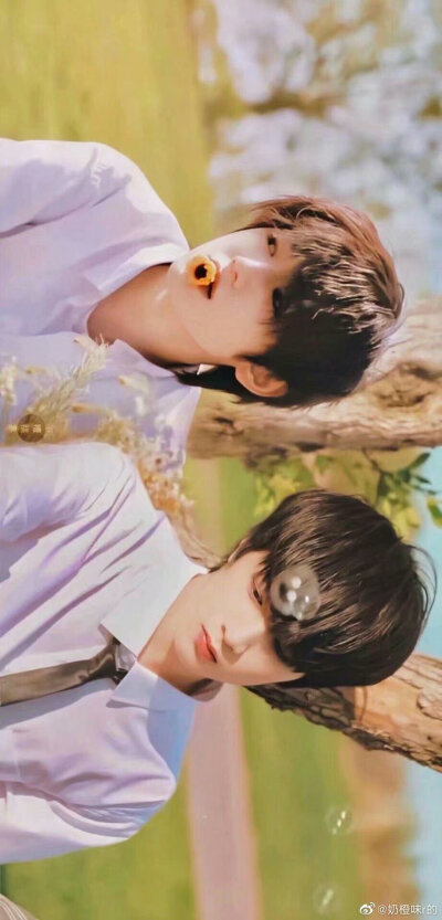 文轩 宋亚轩刘耀文