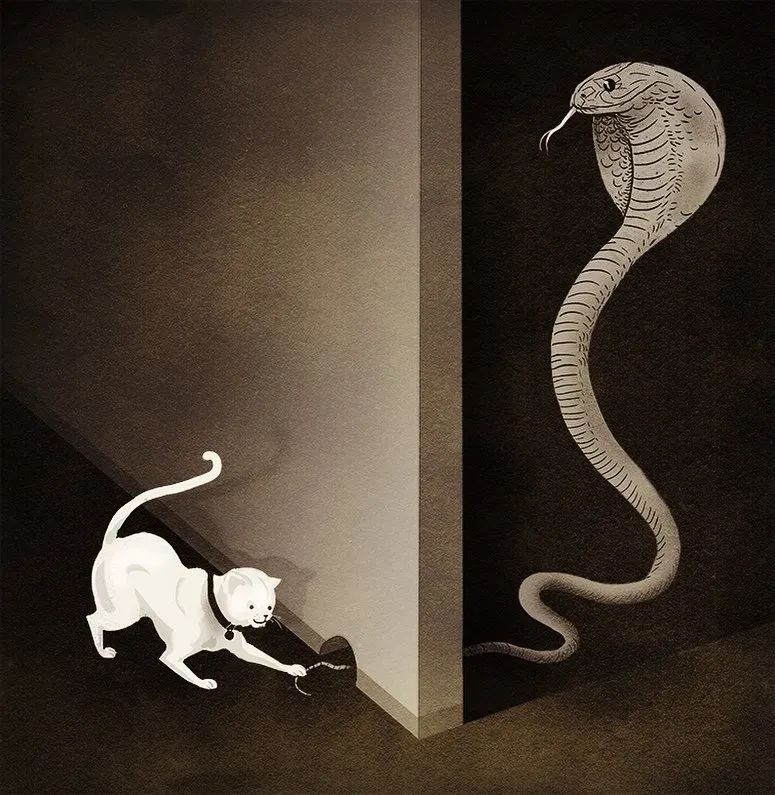 现居墨西哥的意大利大利插画家 marco melgrati,透过一张张简洁的绘画