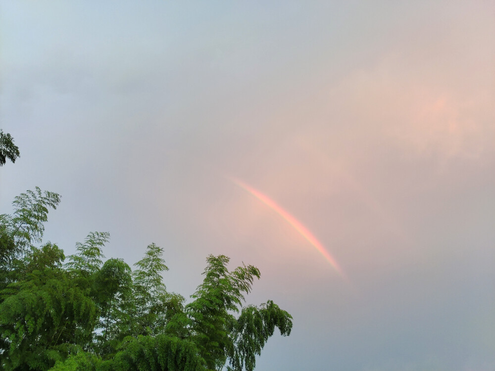 彩虹 rainbow 色彩 天空头像壁纸锁屏背景图
希望大家都好运
自己拍的 需要的话自取