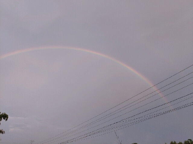 彩虹 rainbow 色彩 天空头像壁纸锁屏背景图
希望大家都好运
自己拍的 需要的话自取