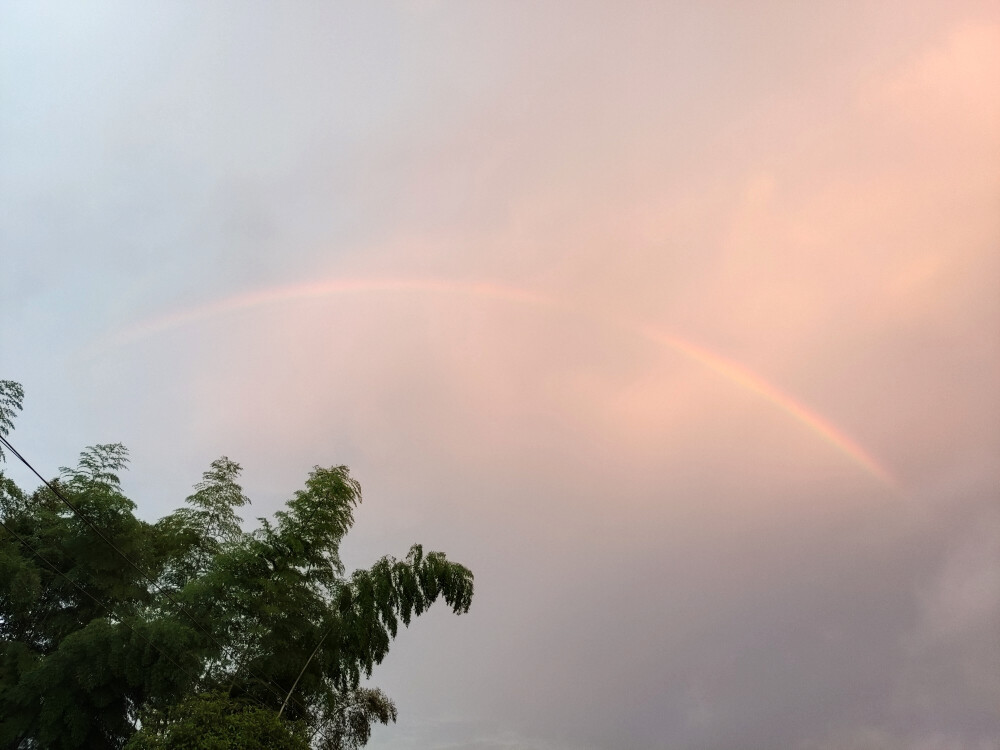 彩虹 rainbow 色彩 天空头像壁纸锁屏背景图
希望大家都好运
自己拍的 需要的话自取