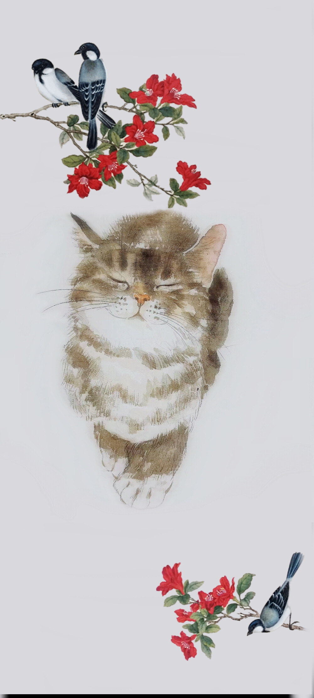 猫咪插画