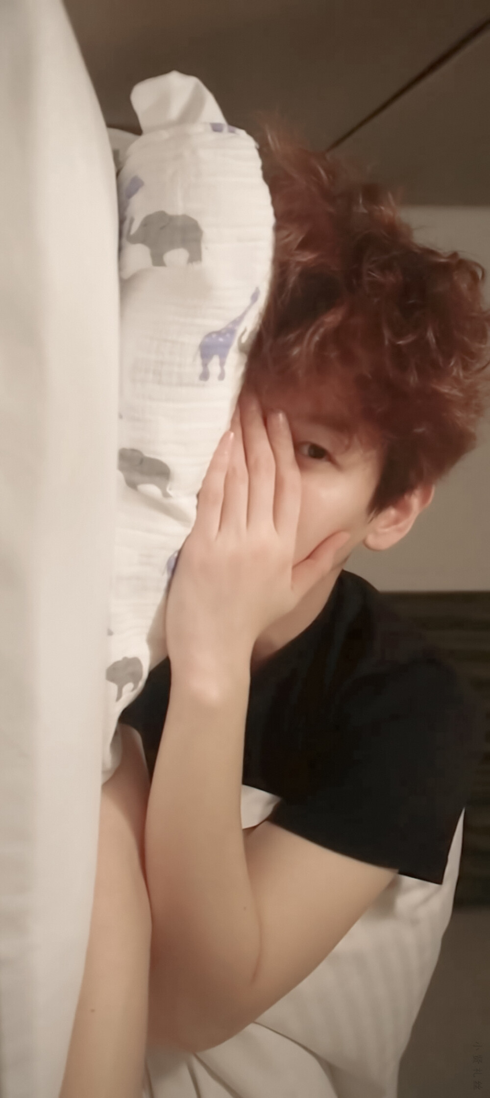 /与贤恋爱中
之一起去旅行