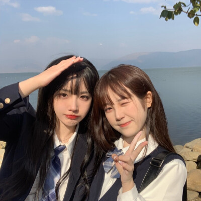 闺头你们自截见简介