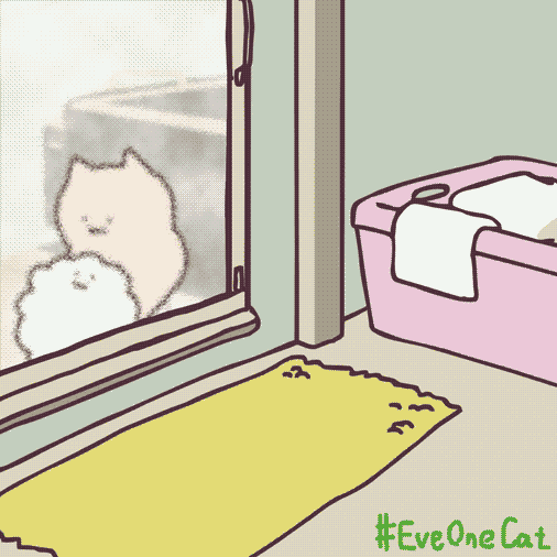 GIFs | EveOneCat